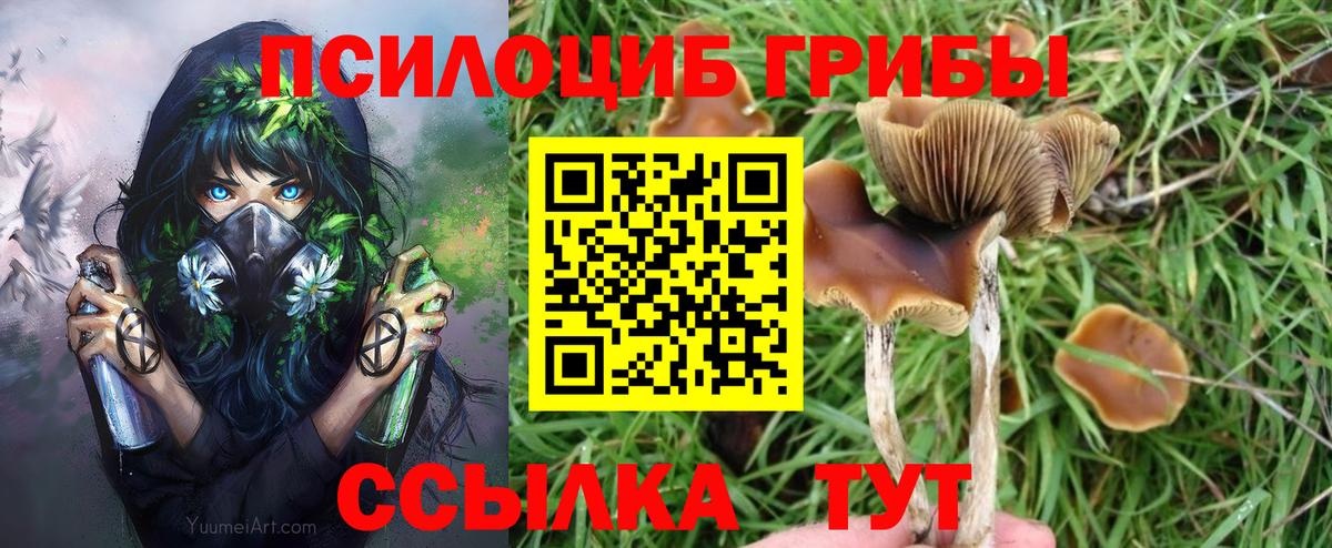 Анжеро-Судженск  Псилоцибиновые грибы мухоморы  даркнет сайт  Вход с VPN 