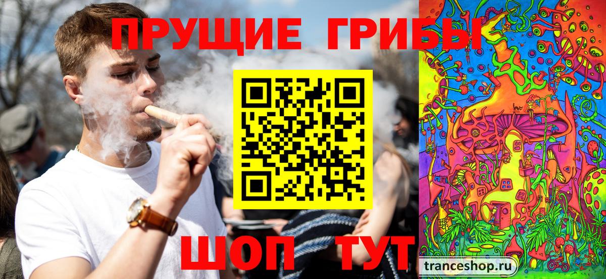 Псилоцибиновые грибы прущие грибы Анжеро-Судженск